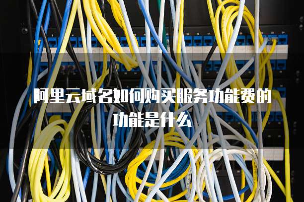 阿里云域名如何购买服务功能费的功能是什么