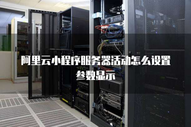 阿里云小程序服务器活动怎么设置参数显示