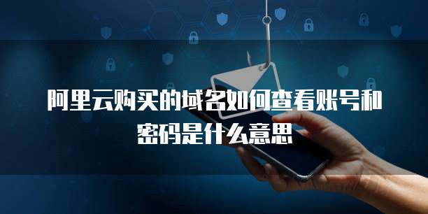 阿里云购买的域名如何查看账号和密码是什么意思