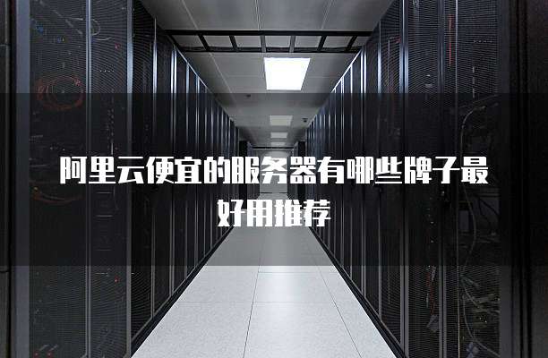阿里云便宜的服务器有哪些牌子最好用推荐