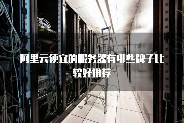阿里云便宜的服务器有哪些牌子比较好推荐
