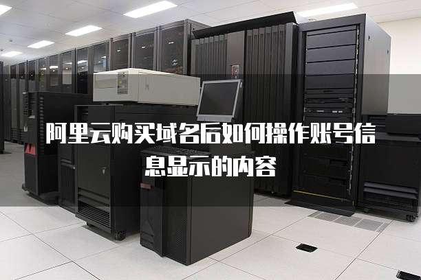 阿里云购买域名后如何操作账号信息显示的内容