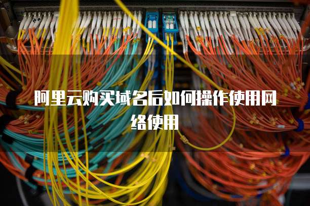 阿里云购买域名后如何操作使用网络使用