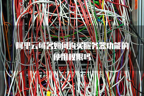 阿里云域名如何购买服务器功能的使用权限吗