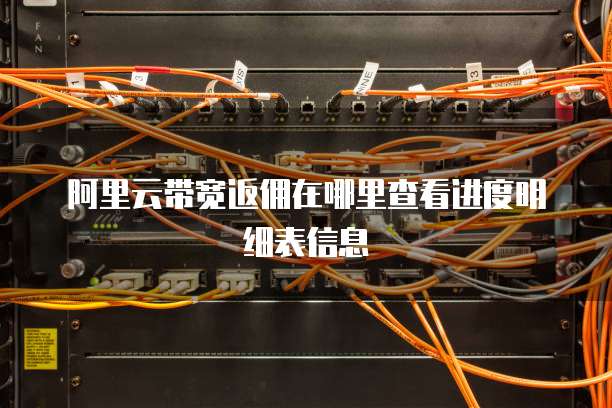 阿里云带宽返佣在哪里查看进度明细表信息