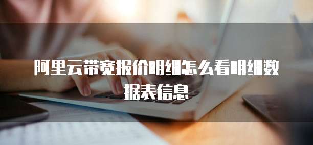 阿里云带宽报价明细怎么看明细数据表信息