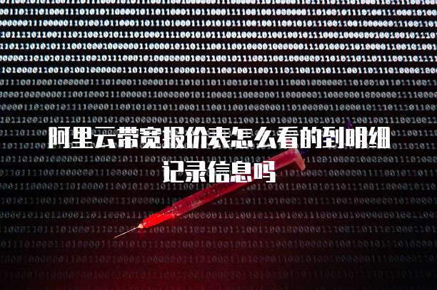 阿里云带宽报价表怎么看的到明细记录信息吗