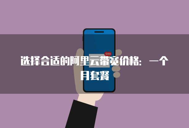 选择合适的阿里云带宽价格:一个月套餐