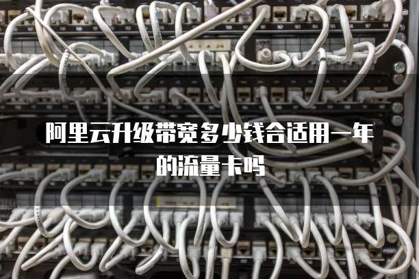 阿里云升级带宽多少钱合适用一年的流量卡吗