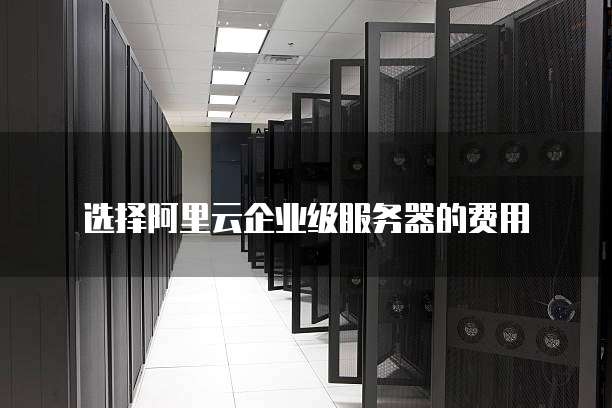 选择阿里云企业级服务器的费用