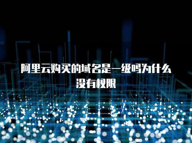 阿里云购买的域名是一级吗为什么没有权限