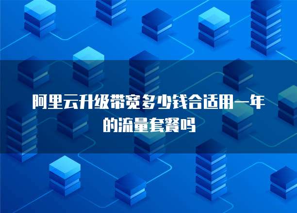阿里云升级带宽多少钱合适用一年的流量套餐吗
