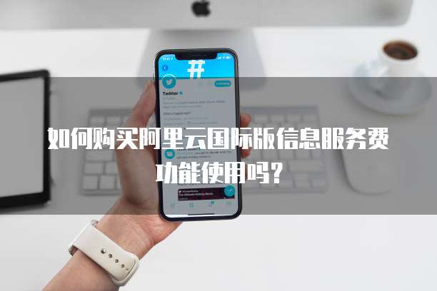 如何购买阿里云国际版信息服务费功能使用吗?