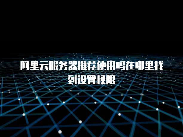 阿里云服务器推荐使用吗在哪里找到设置权限