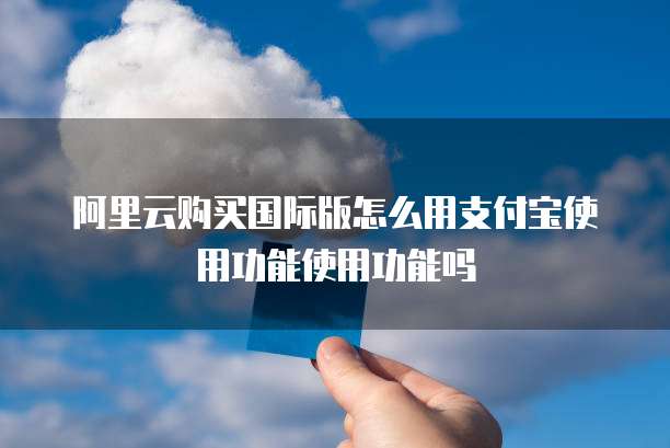阿里云购买国际版怎么用支付宝使用功能使用功能吗