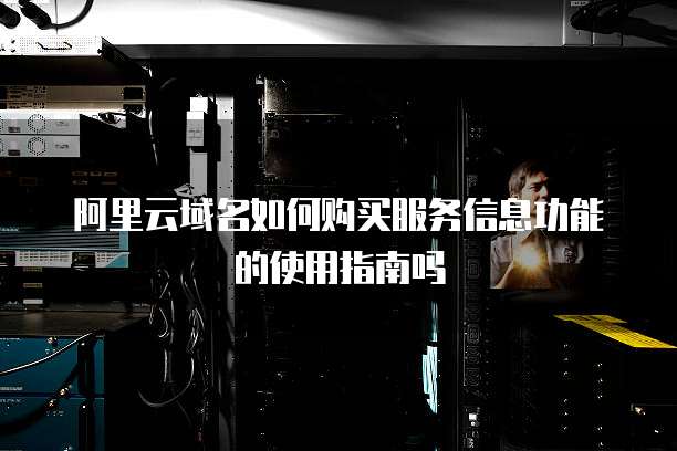 阿里云域名如何购买服务信息功能的使用指南吗