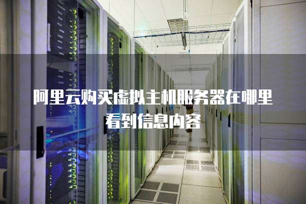 阿里云购买虚拟主机服务器在哪里看到信息内容