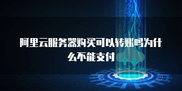 阿里云服务器购买可以转账吗为什么不能支付