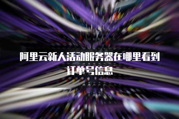阿里云新人活动服务器在哪里看到订单号信息