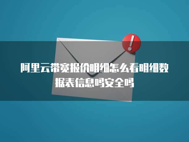 阿里云带宽报价明细怎么看明细数据表信息吗安全吗