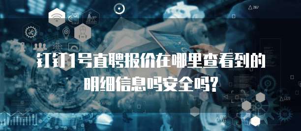 钉钉1号直聘报价在哪里查看到的明细信息吗安全吗?