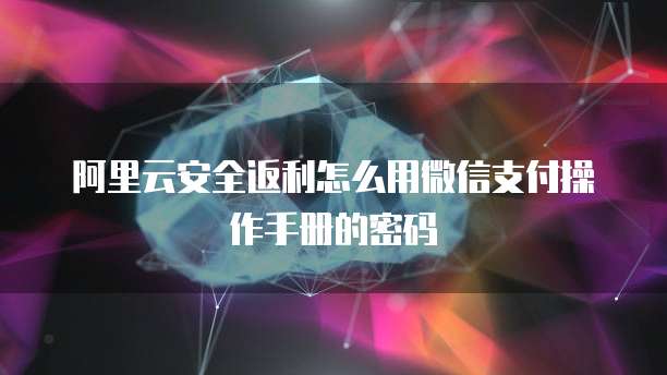 阿里云安全返利怎么用微信支付操作手册的密码