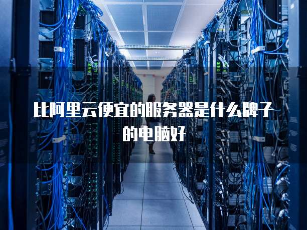比阿里云便宜的服务器是什么牌子的电脑好