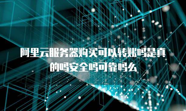 阿里云服务器购买可以转账吗是真的吗安全吗可靠吗么