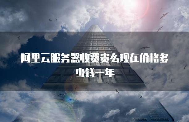 阿里云服务器收费贵么现在价格多少钱一年