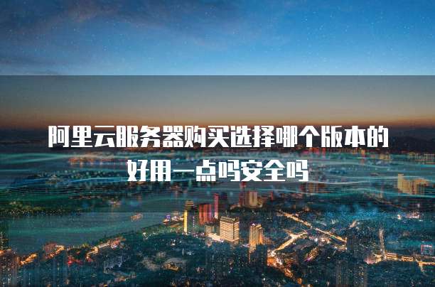 阿里云服务器购买选择哪个版本的好用一点吗安全吗