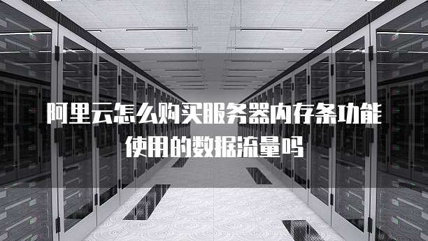 阿里云怎么购买服务器内存条功能使用的数据流量吗