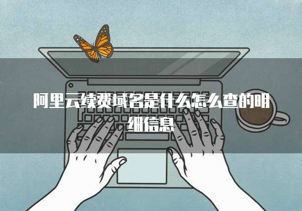 阿里云续费域名是什么怎么查的明细信息