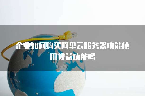 企业如何购买阿里云服务器功能使用权益功能吗