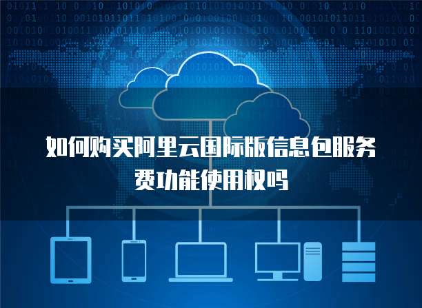 如何购买阿里云国际版信息包服务费功能使用权吗