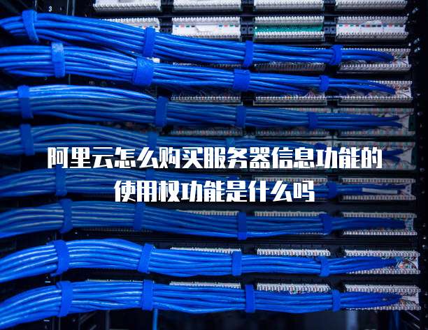 阿里云怎么购买服务器信息功能的使用权功能是什么吗