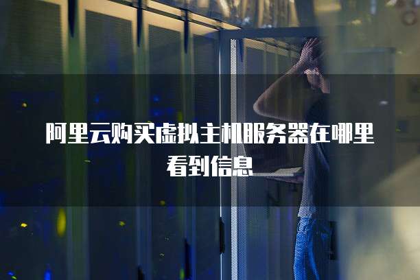 阿里云购买虚拟主机服务器在哪里看到信息