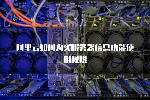 阿里云如何购买服务器信息功能使用权限
