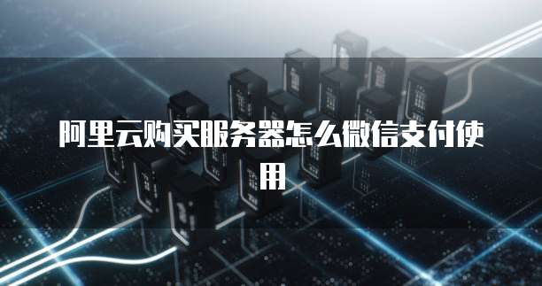 阿里云购买服务器怎么微信支付使用