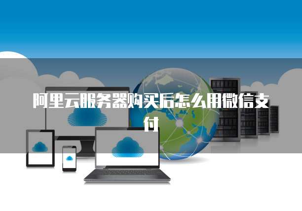 阿里云服务器购买后怎么用微信支付