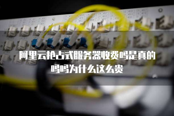 阿里云抢占式服务器收费吗是真的吗吗为什么这么贵