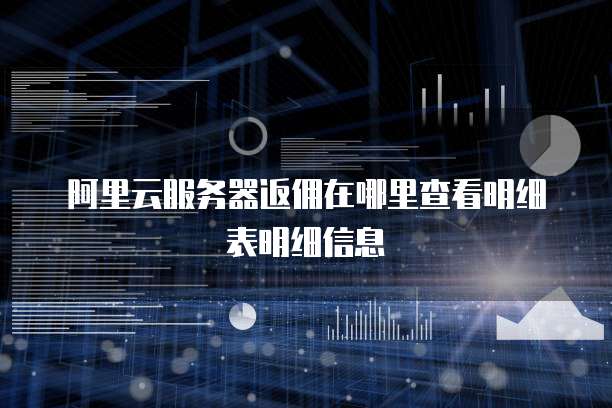 阿里云服务器返佣在哪里查看明细表明细信息