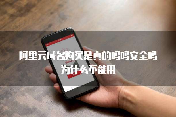 阿里云域名购买是真的吗吗安全吗为什么不能用