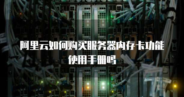 阿里云如何购买服务器内存卡功能使用手册吗