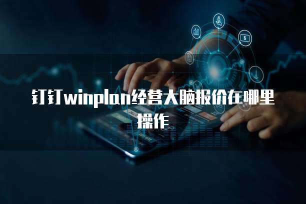 钉钉winplan经营大脑报价在哪里操作