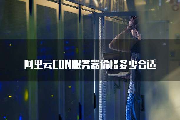阿里云cdn服务器价格多少合适