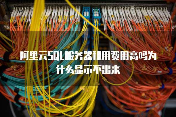 阿里云SQL服务器租用费用高吗为什么显示不出来