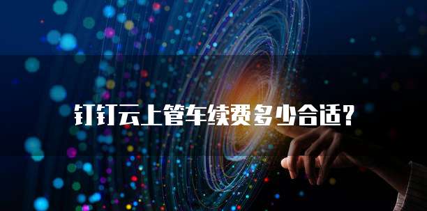 钉钉云上管车续费多少合适？
