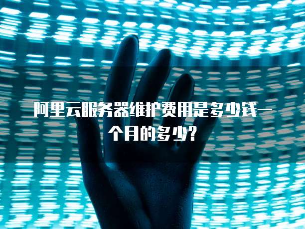 阿里云服务器维护费用是多少钱一个月的多少?