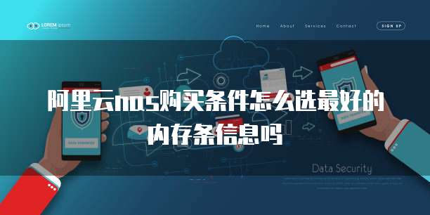阿里云nas购买条件怎么选最好的内存条信息吗