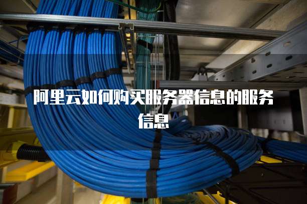阿里云如何购买服务器信息的服务信息